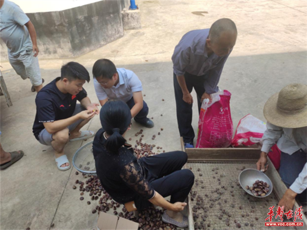 图片 17_副本.png 图片 17_副本.png